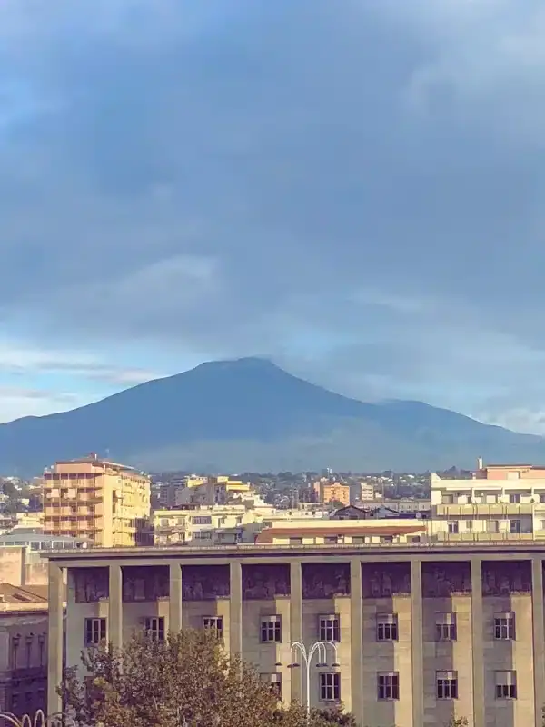 A cityscape with several buildings in the foreground and a large mountain in the background under a partly cloudy sky.