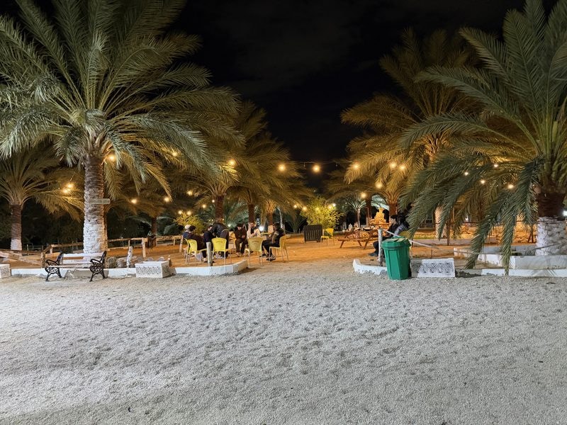 People sitting at tables under palm trees at night, illuminated by string lights.