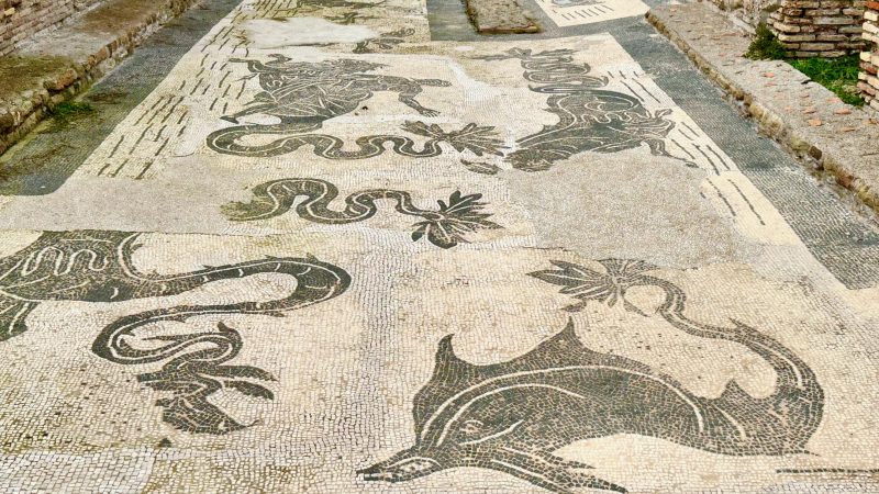 Ancient Roman mosaic floor featuring black and white depictions of dolphins and sea creatures, bordered by stone walls.