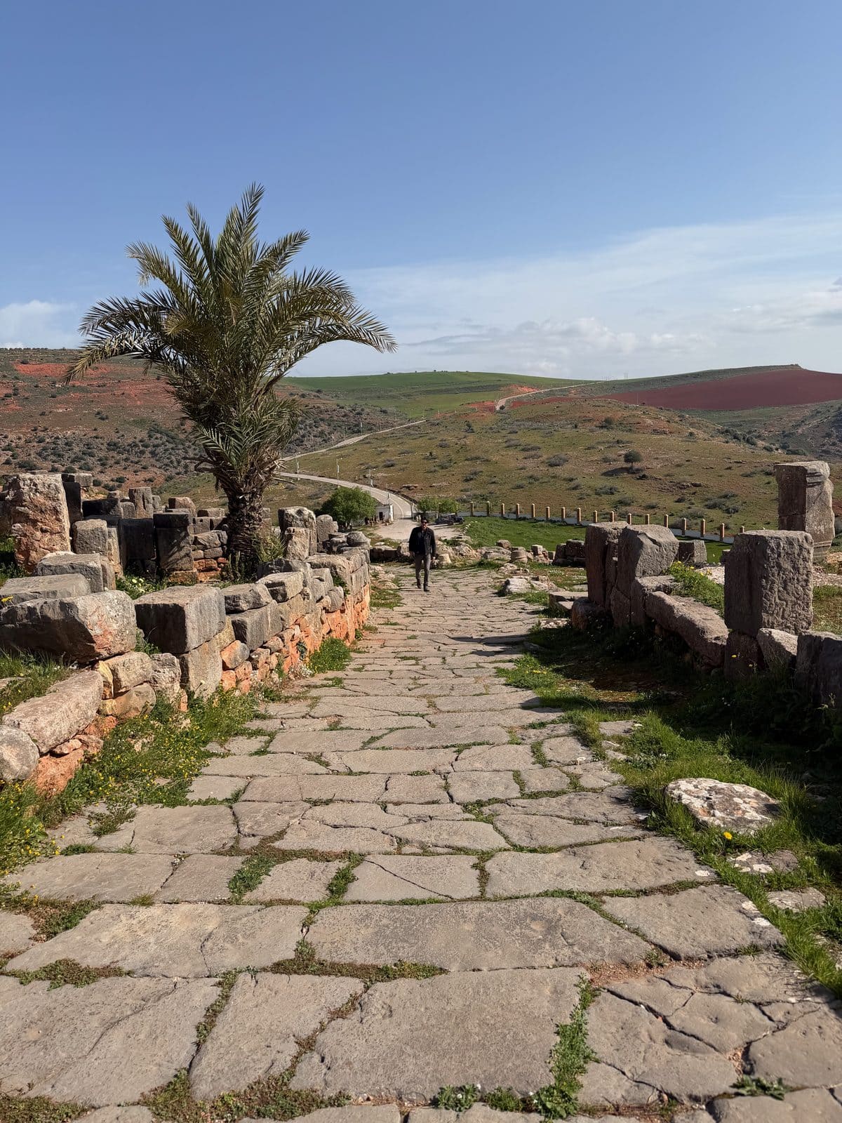 A person walks along a stone-paved path through the Volubilis ruins, with a palm tree on the left and rolling hills in the distance.